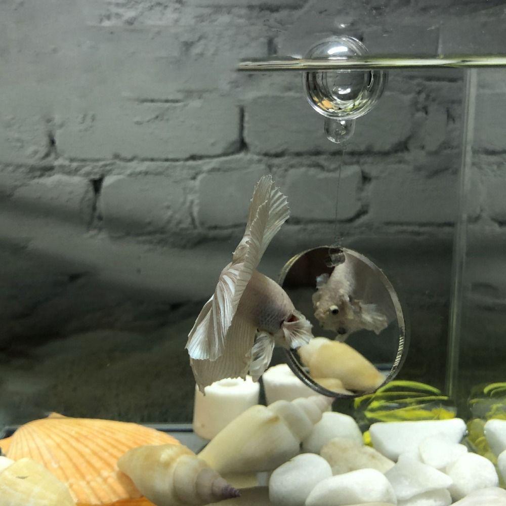 Круглое зеркало для аквариума Петушок Декоративное плавающее зеркало для аквариума Зеркало для игры рыб Игра