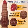 5-Size Realistic Hand-Held Dildo Set - Lifelike Penis Shape with Anal Training Kit, Stretching Masturbator for Women, Adult Sex Toy