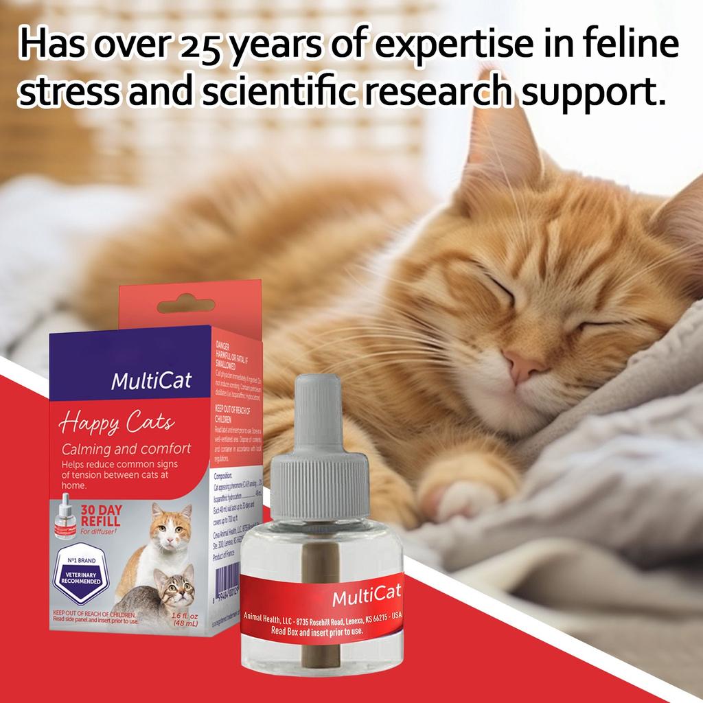 48ml Diffuser Refill | Maintain And Among Cats At Home