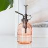 Something Different Minimalist Glass Plant Mister
