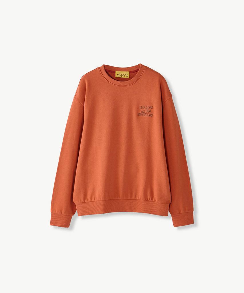 STCO Diems Small Lettering Embroidered Sweatshirt_Orange (Oversized)_Dtsva64Cso