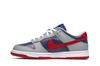 Nike Dunk Low CO.JP Samba (2020)