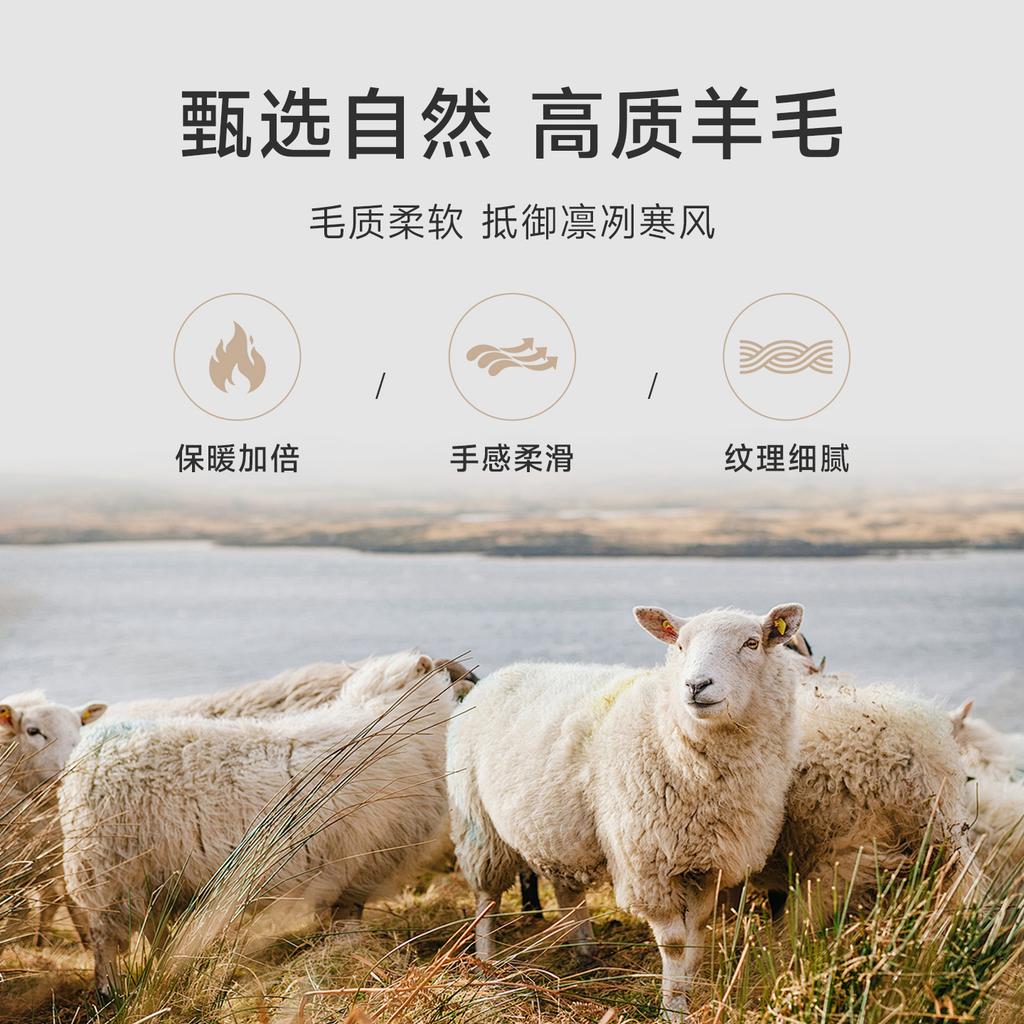 [Including Wool] Langdeng Autumn and Winter Men's Warm and Comfortable Collar Solid Color Long Sleeve T-shirt Polo Shirt