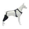 Фиксатор колена для задней ноги собаки Фиксатор колена для бедра собаки Поддержка передней крестообразной связки при дисплазии тазобедренного сустава у собак Артрит Вывих коленной чашечки