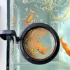 New 1/2/5Pcs Aquarium Feeding Ring Fish Tank Station Floating Food Tray Feeder Circle Accessories Fish Foods Feeder