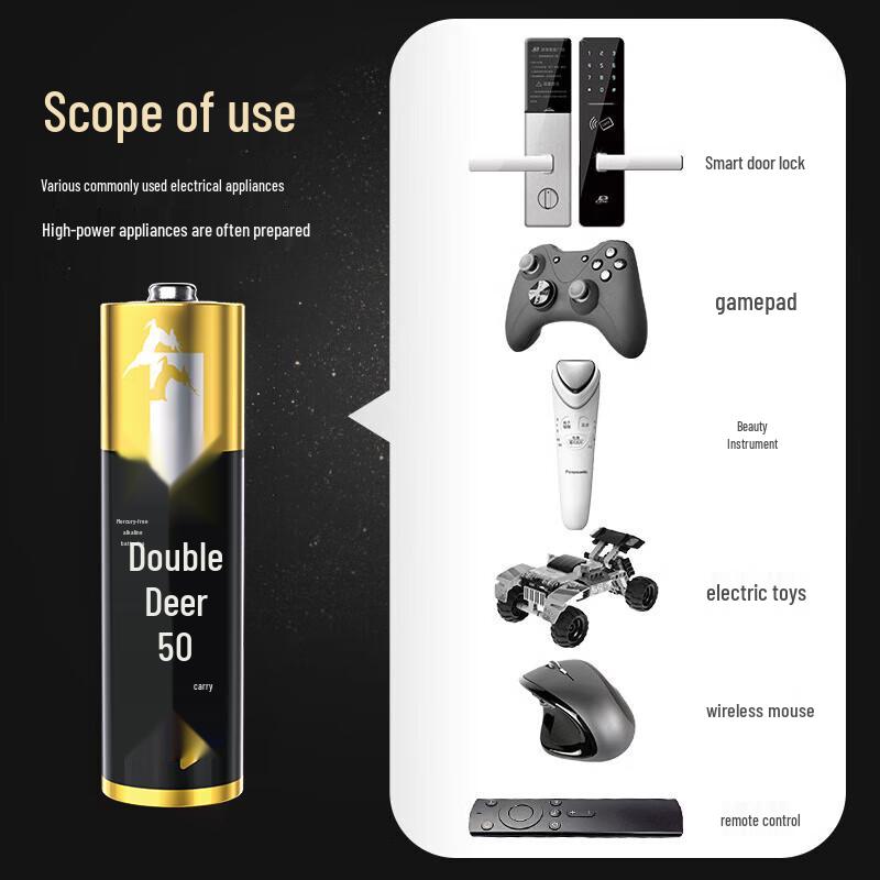 Shuanglu AA Alkaline Batteries CN plug (adapter included)