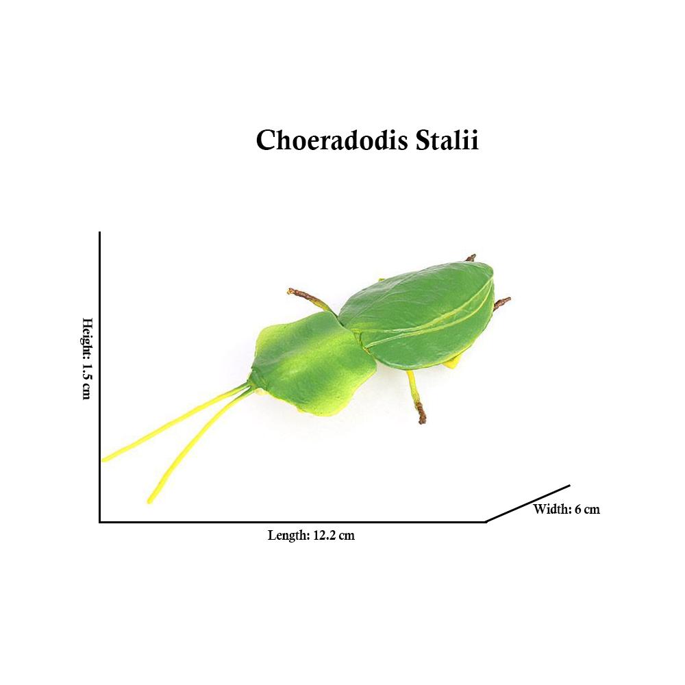 Insect Toy Miniature Insects Figures Animal Figurines Beetle Bee Spider Models Action Figure Plastic Animals Toys for Children