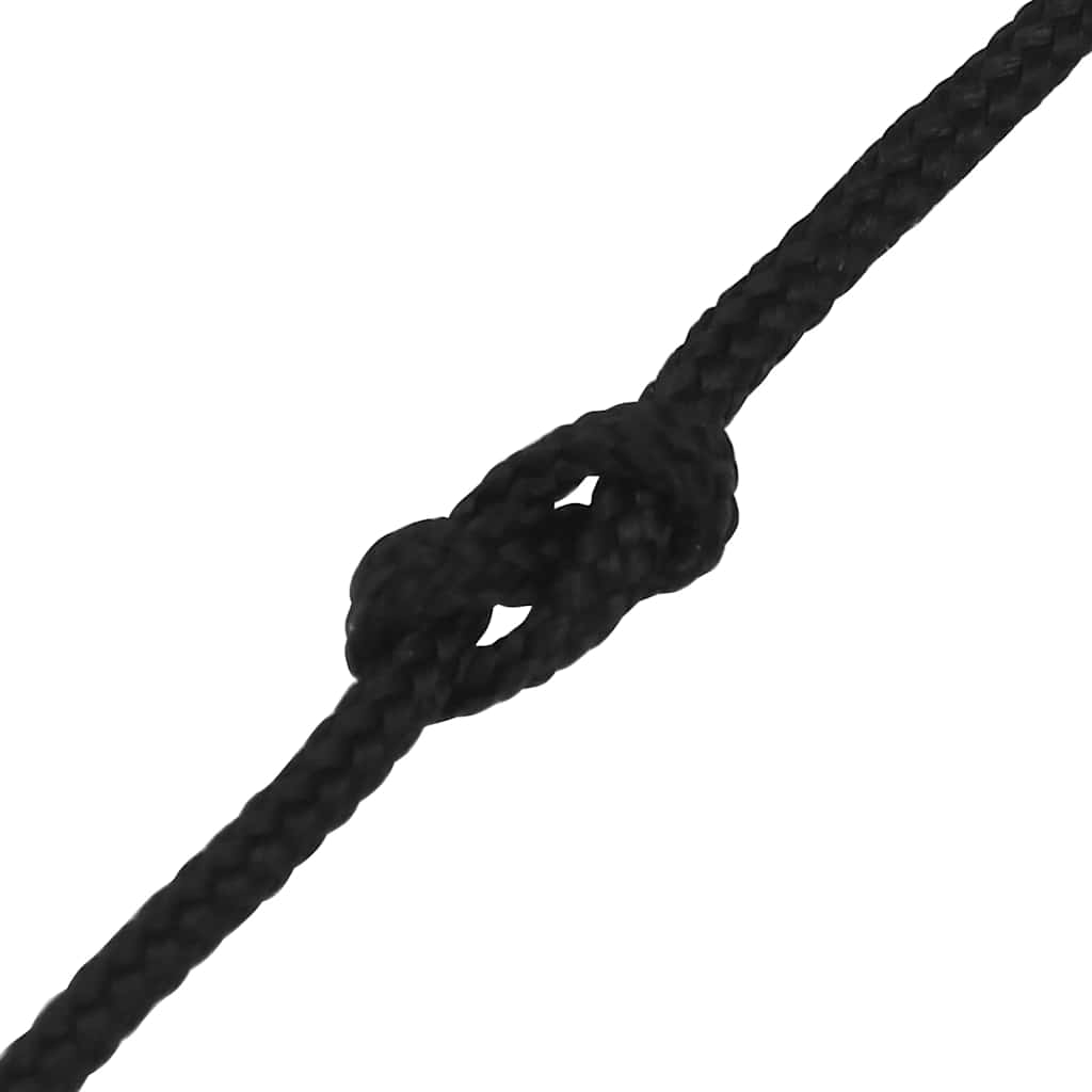 Boat Rope Black 3 mm 25 m Polypropylene
