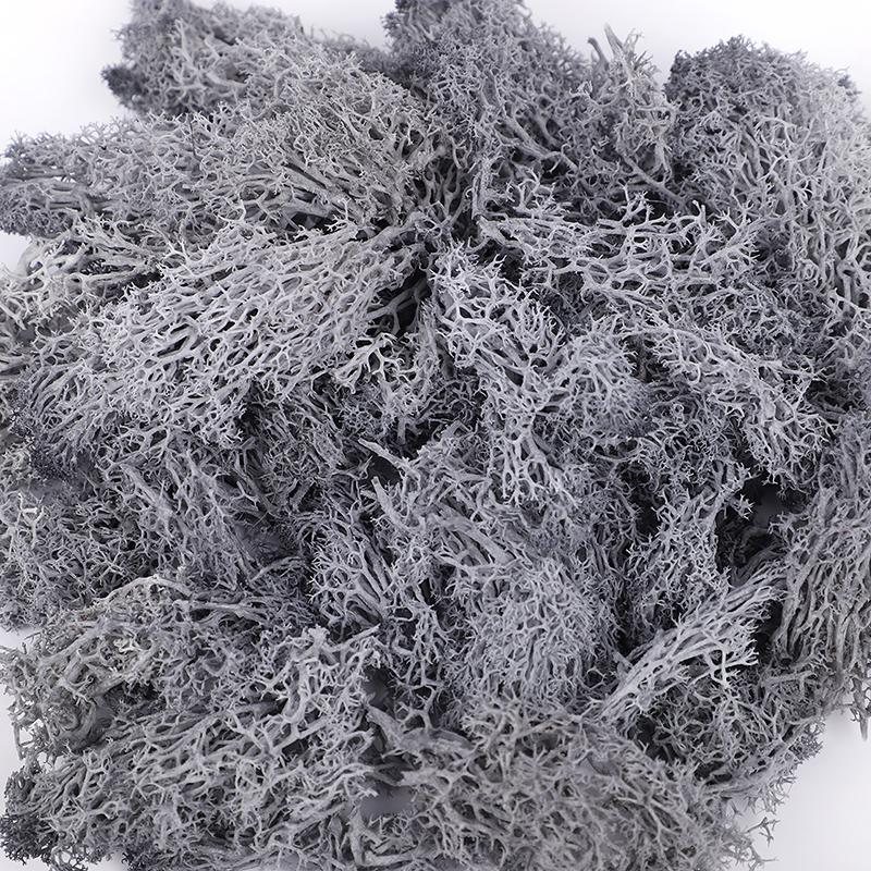 20/40/100g Artificial Green Plants Eternal Life Moss Grass DIY Crafts for Home Garden Room Decoration Mini Landscape Fake Flower