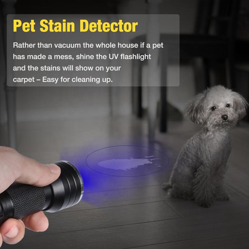 UV Flashlight with 21 LEDS 395NM Ultra Violet Torch Light Lamp Blacklight Detector for Dog Urine Pet Stains and Bed Bug