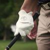 Snell Golf Glove MY TOUR GLOVESOFT LONG-LASTING