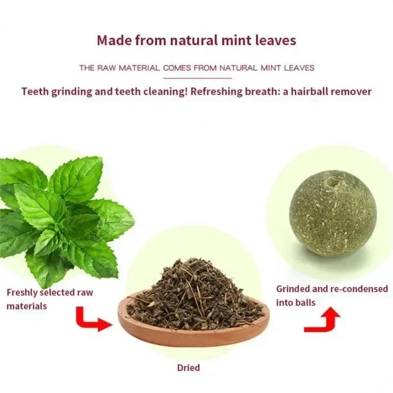 Кошачья мята Наклейка на стену Мяч Игрушка Кошки Товары для животных Товары для кошек Аксессуары Игрушки Вещи Когтеточка Домашние животные Закуски Товары для дома