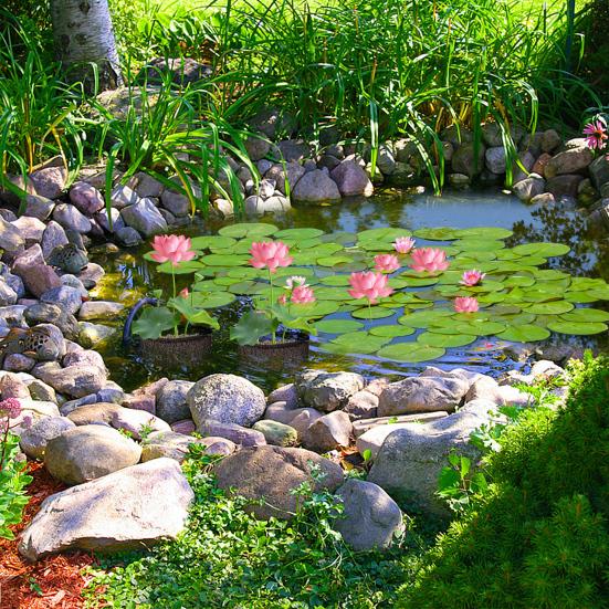 4 шт., водные мешки для посадки, многоразовые воздухопроницаемые кашпо для пруда, сетчатый водный садовый пруд, горшок для растений, горшки для лилий для болотных и наземных растений