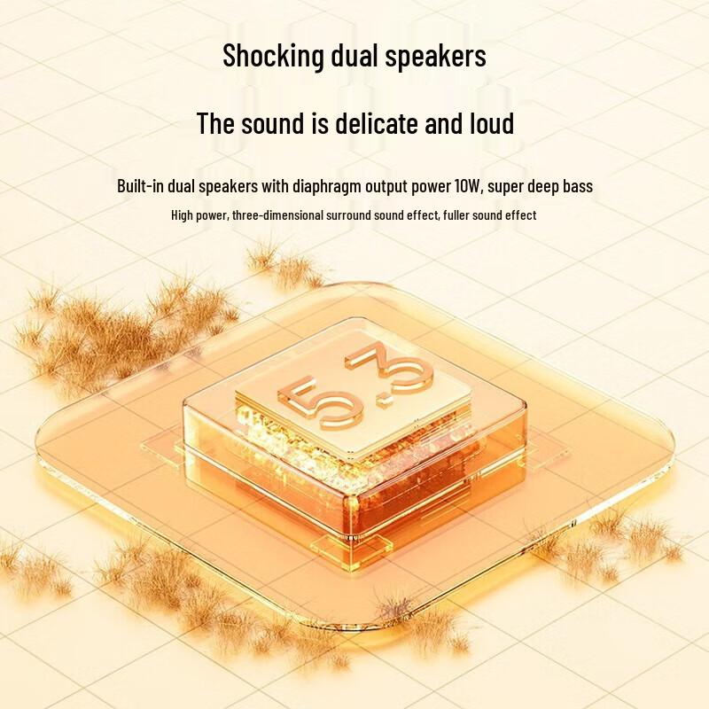 Woopin AP08 Portable Bluetooth Karaoke Speaker