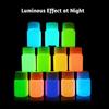 20g Paint Fluorescent Non-radioactive Colors 12 Paint Multipurpose Luminous