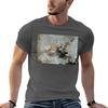 Figure of the Royal Magnificence Immortality and Progress in the Fine Arts Object type  Ren Antoine Houasse TShirt