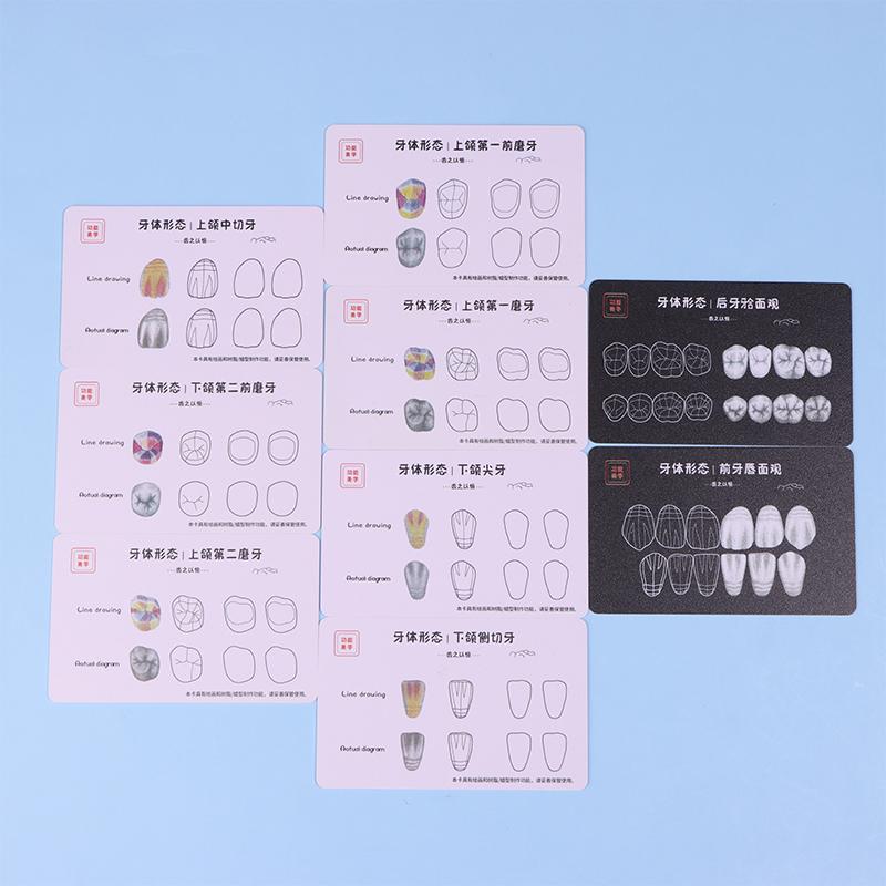 Стоматологическая композитная пломбировочная доска для практического применения Модель Зубы Шаблон Реставрация Полости Стоматолог Передняя Задняя Практика Стек Смолы