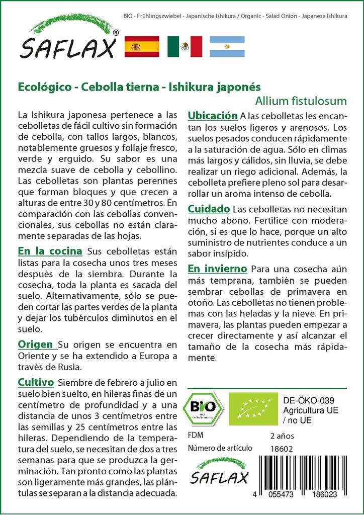 SAFLAX Gift Set - Organic - Salad Onion - Japanese Ishikura - 150 Seeds - With Gift Box, Card, Label and Potting Substrate - Allium Fistulosum