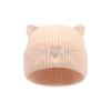 Soft Warm Winter Cap Cat Ear Embroidered Bonnet Casual Casual Knit Cap  Autumn Winter