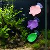 Fish Tank Resting Spot Betta Hammock Shells, Small Shell Beds with Suction Cups, Spawning Ground, for Betta, Shrimp, Aquarium Accessories Safe