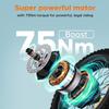 Электровелосипед ENGWE EP-2 3.0 BOOST, двигатель 250 Вт, максимальная скорость 25 км/ч, 7-скоростная передача, управление через приложение