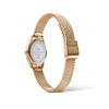 Daniel Wellington Watch Quartz Movement White Dial Women's Watch Fashionable Eye-catching Elegant Oval Rose Gold Watch DW00100940