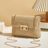New Trend Versatile Women's Bag Crossbody Bag Sweet Style Fashion Straw Double Head Lock Shoulder Bag