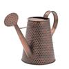 Country Living Watering Can - Brown