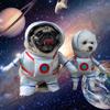 Смешная одежда для домашних животных для собак, космический костюм, одежда для косплея для домашних животных, костюмы для щенков, кошек, астронавтов, наряды для вечеринки на Хэллоуин, одежда для кошек и собак