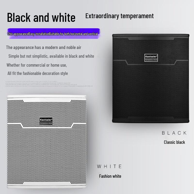 KAXISAIER Commercial 10-inch Wall-Mounted Speaker N10