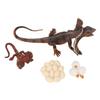 4pcs Simulation Animal Model Simulation Lizard Growth Ornament Children Cognitive Growth Cycle Anima