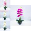 Фаленопсис Афродита Рхб Декоративное искусственное растение с шелковыми цветами для настольных композиций и подарка
