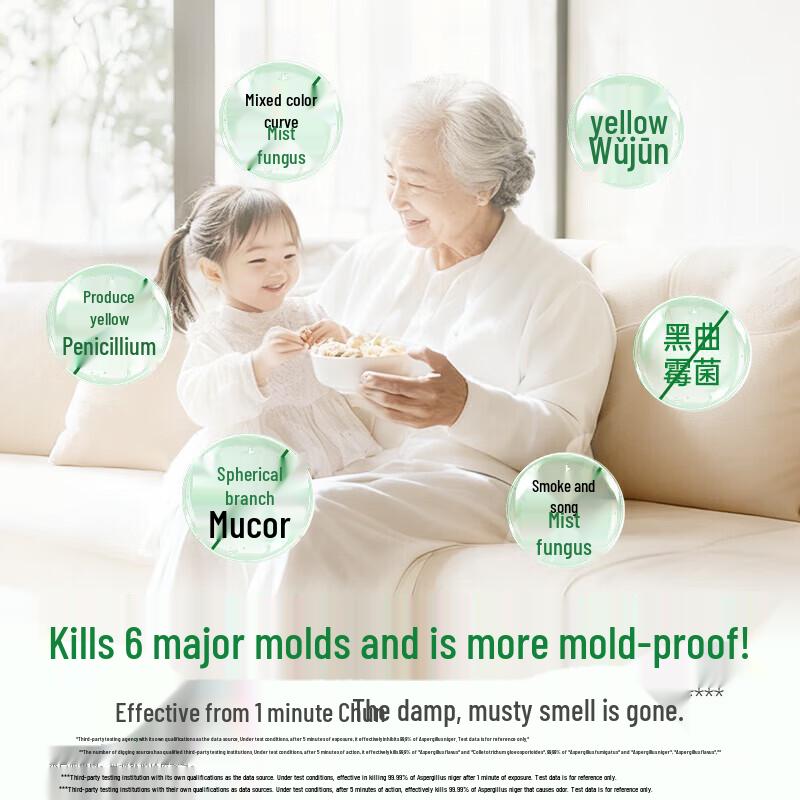 Dettol Mold & Mildew Remover Disinfectant Spray