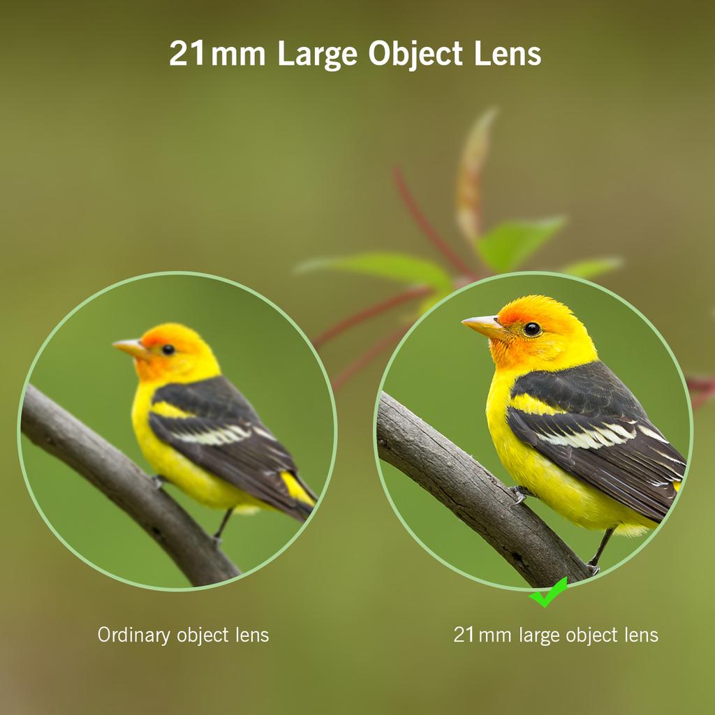 Lightweight Mini Binoculars Foldable Pocket Binoculars for Adults Kids Bird Opera Watching