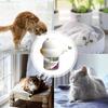 Pheromone For Diffuser Cats Plugin Relaxants Pet Emotional Comfort Spray Tool