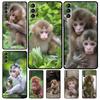 Милый чехол с изображением обезьянки для Samsung Galaxy S23 FE S22 Ultra S20 S21 FE S8 S9 S10 Plus Note 10 20 Ultra Cover