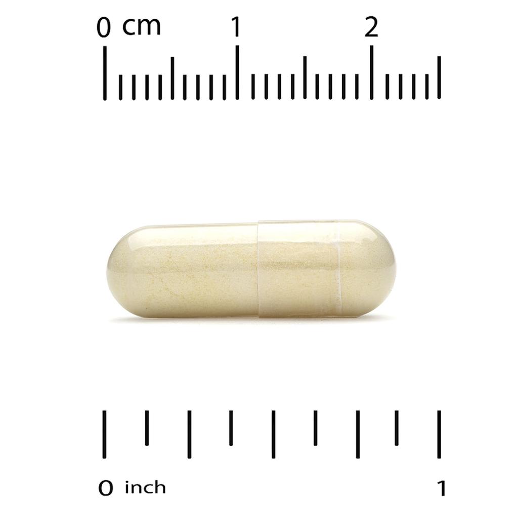 Super Nutrition, Super Immune+ multivitamin, iron-free, 240 veggie capsules