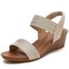 Sandals Women One Strap Roman Shoes Fairy Style New Summer Large Size Slope Heel Fashion Women's Shoes