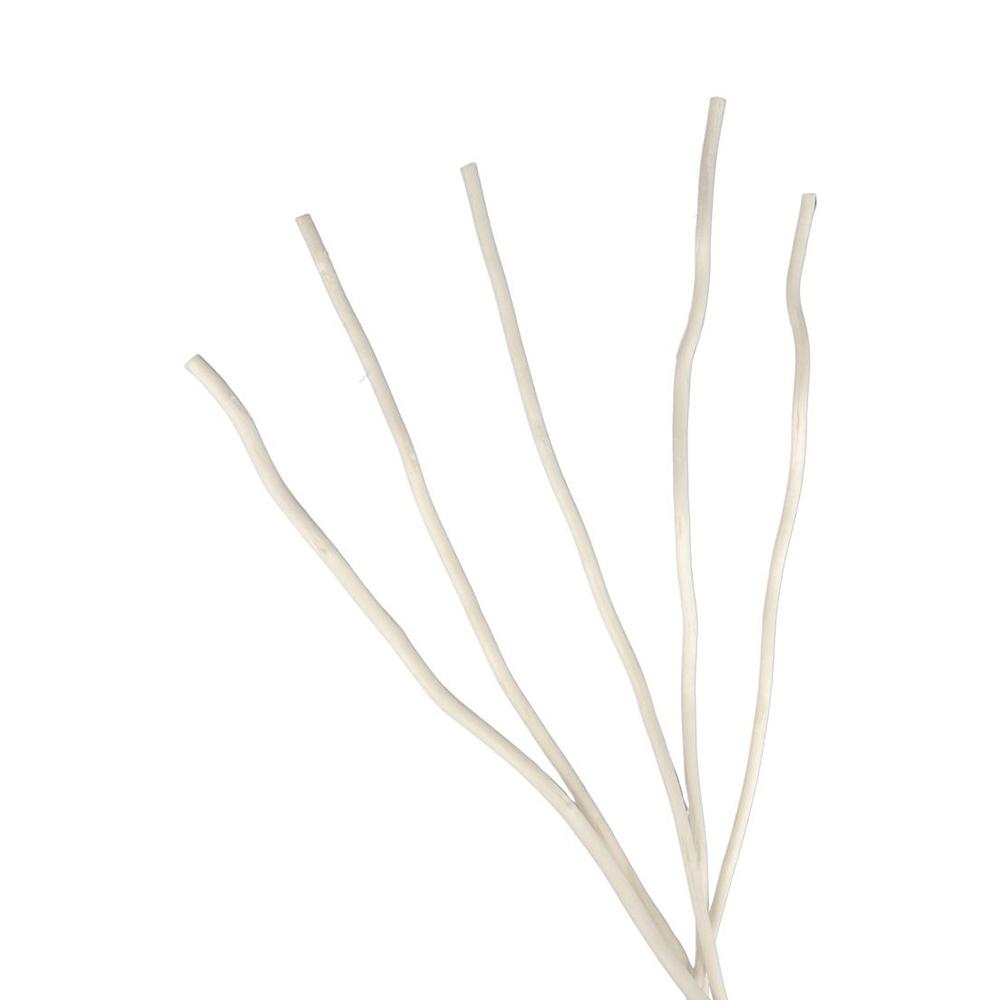 Fire Home Decor No Lateral Branches Dry Branches Aromatherapy Sticks Willow Branch Aroma Diffuser