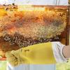 1 пара дышащих пчеловодческих перчаток с длинными рукавами, защитные перчатки, прочные перчатки пчеловода, защита безопасности, дышащая сетка