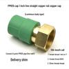 PPR Water Heater Union Pre-Filter Connector: 25 To 1 Inch, 4-6 Points, 32 Straight Elbow, Copper Water Pipe Fittings