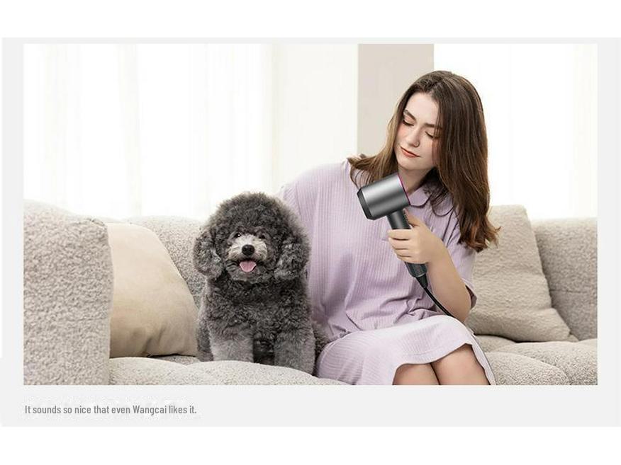 Высокоскоростной фен без листьев 110 В, соответствующий стандартам США и Японии, для домашнего использования, оснащен технологией отрицательных ионов