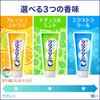 Clear Clean [Большой размер] Зубная паста Clear Clean, Натуральная мята, 170 г (Другие предметы)