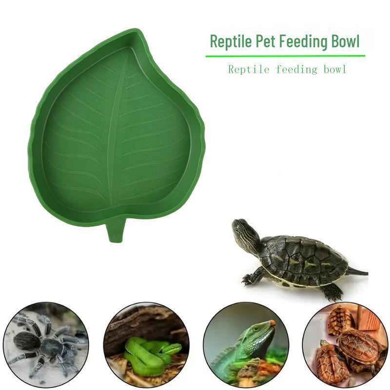 Reptile Dual-Use Feeding & Drinking Bowl - Easy to Clean for Small Pets