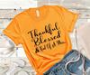 Thankful Blessed & Kind of a Mess T-Shirt Fall Shirt Thanksgiving Autumn Shirt