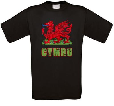 Футболка Уэльс Cymru Кардифф