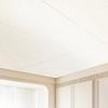 Ceiling Tiles 10-Pack 24 x 24 in PVC Foam Fire-Rated Smooth White