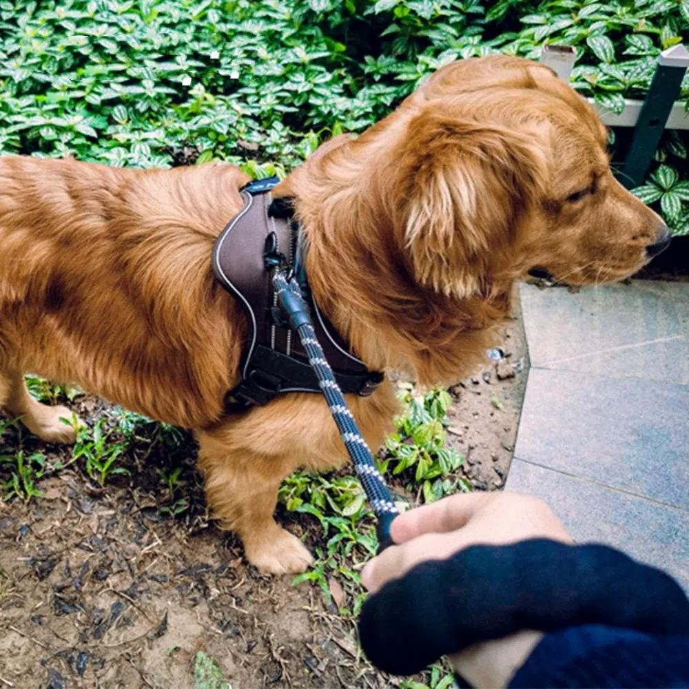 Прочный поводок для собак Мягкие поводки для домашних животных Удобный светоотражающий поводок для собак