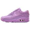 Кроссовки Air Max 90 Женские Макарун 813150-500