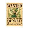 1 Piece Anime Luffy Gear 5 Bounty Wanted Posters Nika Zoro Ace Shanks Straw Hat Pirates Home Decor Craft Paper